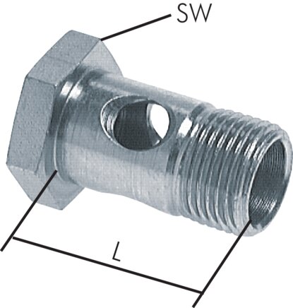 Exemplarische Darstellung: Hohlschraube (1-fach), DIN 7643 A